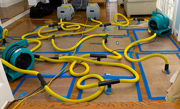Professional Crawl Space Water Removal technician working in Columbia, MD